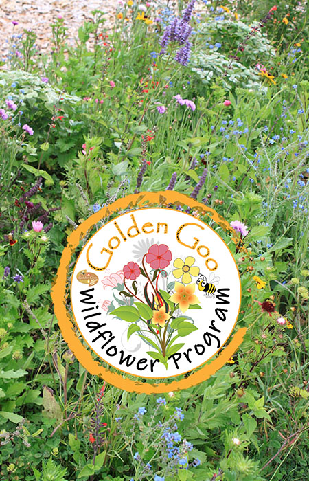 Wildflower Program