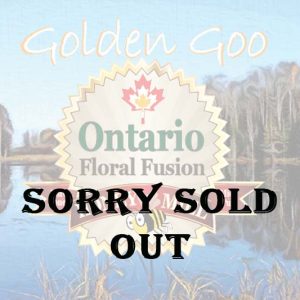 Golden Goo Ontario Fusion Online Image Sold Out